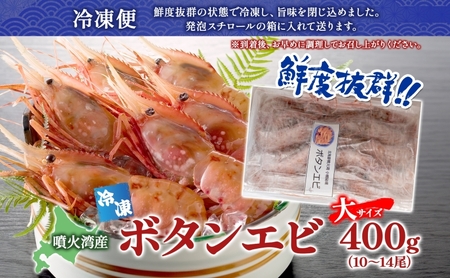 北海道 噴火湾産 冷凍ボタンエビ 大サイズ 400g 10～14尾 ボタンエビ エビ えび 海老 北海道産 旬 ぼたんえび 刺身 牡丹海老 海鮮 魚介 甲殻類 味噌汁 鍋 海鮮丼 冷凍 洞爺湖町 within2025
