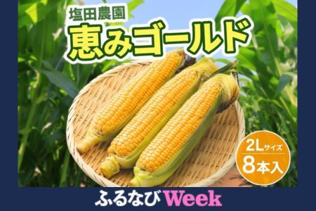 【ふるなびWEEK対象】北海道産 とうもろこし 恵味 ゴールド 2L 8本 8月中旬～9月下旬頃お届け 朝採り 恵味 めぐみトウモロコシ スイート コーン 甘い 新鮮 先行受付 夏 野菜 産地直送 塩田農園 送料無料 北海道 洞爺湖町 FN-Limited-WE