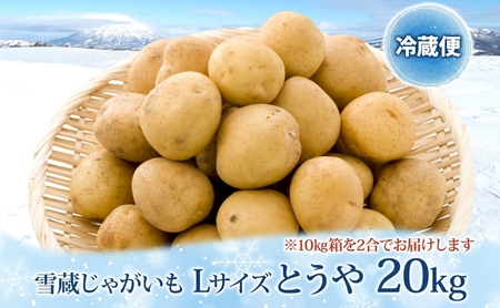 雪蔵じゃがいも 20kg とうやＬサイズ 2025年3月上旬～3月末までお届け ジャガイモ 芋 甘い なめらか しっとり ポタージュ カレー 調理 料理 煮込み料理 雪蔵 旬 季節 農作物 野菜 根菜 北海道 洞爺湖町