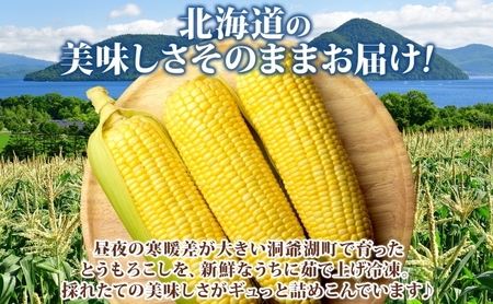 北海道産 冷凍カット野菜 とうもろこし 1/2分カット 11袋 とうきび コーン 野菜 冷凍食品 アレンジ 料理 付け合わせ おかず 惣菜 簡単 便利 一人暮らし 小分け BBQ キャンプ 弁当 送料無料 冷凍 北海道 洞爺湖町