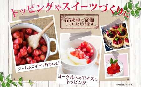 役に立ちます 冷凍カット果物 いちご100g×8袋 果物類 苺 イチゴ 