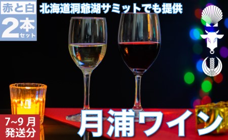 月浦ワイン2本セット（白・赤750ml）7月～9月配送［冷蔵］白・赤ワイン