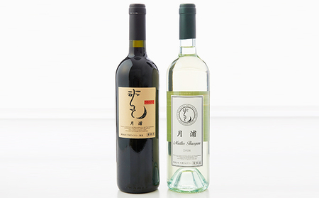 月浦ワイン2本セット（白・赤750ml）7月～9月配送［冷蔵］白・赤ワイン