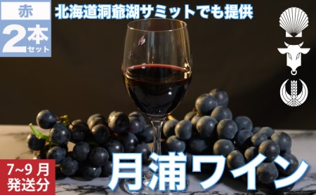 月浦ワイン 赤750ml×2本　7月～9月配送［冷蔵］赤ワイン
