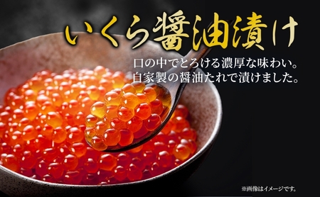 北海道 特選2種セット 低温熟成新巻鮭切り身 約1.9kg いくら醤油漬け 計400g 2025年2月順次出荷 鮭 サケ シャケ しゃけ サーモン 切り身 いくら イクラ 醤油漬け 海鮮 海産物 魚介 