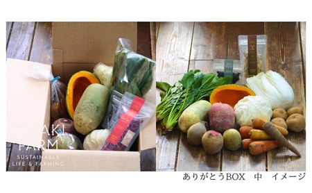 〈自然栽培〉佐々木ファーム　旬の野菜詰め合わせ　～ありがとうBOX 2024・中～　やさい　直送　北海道　洞爺湖町