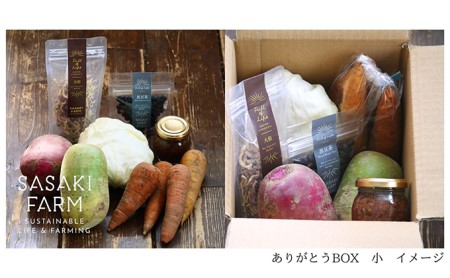 〈自然栽培〉佐々木ファーム　旬の野菜詰め合わせ　～ありがとうBOX 2024・小～　やさい　直送　北海道　洞爺湖町