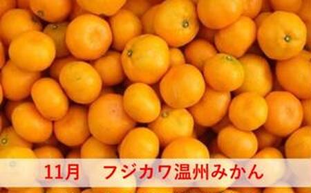 みかん 定期便 5回 フルーツ フジカワ果樹園オリジナル（新季節の柑橘セット） 果物