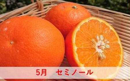 みかん 定期便 5回 フルーツ フジカワ果樹園オリジナル（新季節の柑橘セット） 果物
