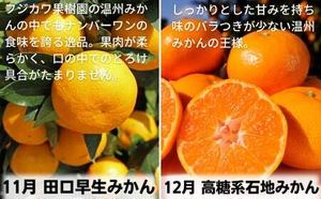 【9回頒布会】フジカワ果樹園オリジナル・新季節の柑橘セット