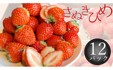 さぬき姫いちご　12パック(1パック約250g)
