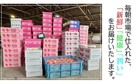 特秀品！真っ赤なお蜜柑「小原紅早生」約3kg みかん