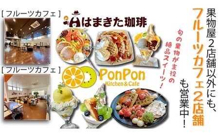 特秀品！真っ赤なお蜜柑「小原紅早生」約3kg みかん