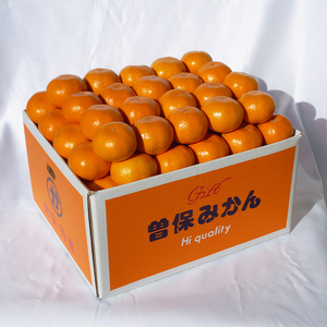 完熟厳選の曽保みかん 約5kg 果物類 柑橘類  FAH-0139