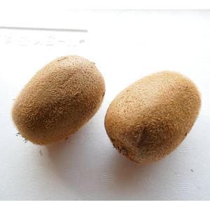 香川産のオリジナル品種キウイフルーツ［香緑］ 果物 詰合せ セット  FAH-0132