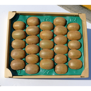 香川産のオリジナル品種キウイフルーツ［香緑］ 果物 詰合せ セット  FAH-0132