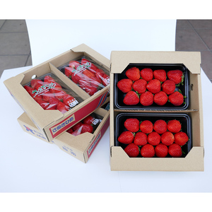 香川県のオリジナル品種/さぬき姫いちご2パック 果物類 苺 イチゴ フルーツ  FAH-0134