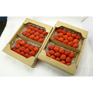 香川県のオリジナル品種/さぬき姫いちご2パック 果物類 苺 イチゴ フルーツ  FAH-0134