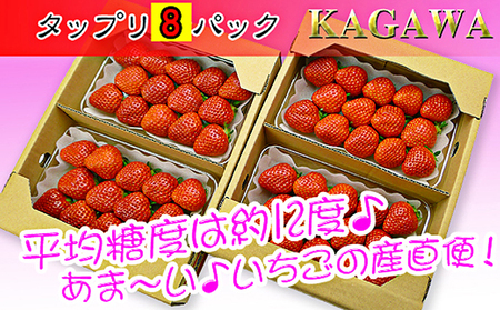 香川県のオリジナル品種/さぬき姫いちご8パック 苺 イチゴ 果物類 フルーツ 