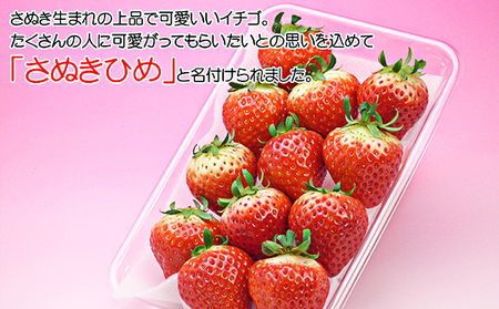 香川県のオリジナル品種/さぬき姫いちご8パック 苺 イチゴ 果物類 フルーツ 