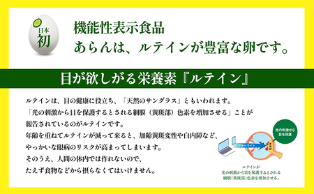 光の刺激から目を守る ルテイン含有卵 機能性表示食品「あらん」 栄養 健康 見える 改善 色鮮やか 吸収 サプリメント くせがない 生鮮食品 ぼやけて見える