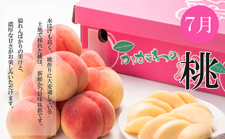 【全3回】夏のいいとこどり定期便（7・8・9月発送） 