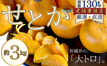 柑橘界の大トロ♪せとか　約3kg 