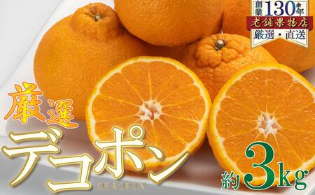 厳選！濃厚甘味のぷりっぷり「デコポン」　約3kg 