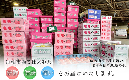 特秀品！真っ赤なお蜜柑「小原紅早生」　約5kg 