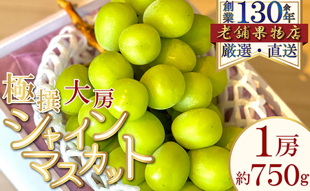 極撰！大房シャインマスカット　1房(約750g) 