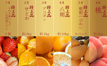 【12ヶ月連続定期便】<プレミアム等級選果>綾川町の春夏秋冬！旬果実の単品定期便 