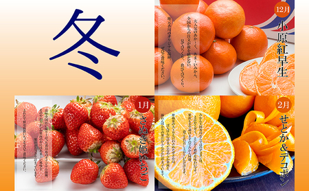 【全3回】冬のいいとこどり定期便（12・1・2月発送） 