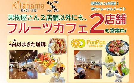 【全3回】冬のいいとこどり定期便（12・1・2月発送） 