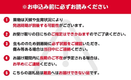 特産 フルーツ 定期便（年6回） いちご びわ ピオーネ シャインマスカット 柿 キウイ ぶどう 香川 6 季節 旬