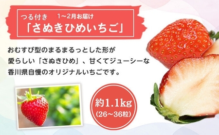 特産 フルーツ 定期便（年6回） いちご びわ ピオーネ シャインマスカット 柿 キウイ ぶどう 香川 6 季節 旬