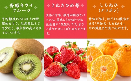 綾川町お勧めフルーツ定期便(年間12回) いちご びわ 桃 ピオーネ シャインマスカット デコポン 柿 キウイ 12