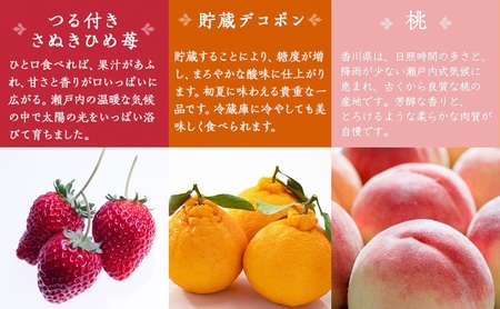 綾川町お勧めフルーツ定期便(年間12回) いちご びわ 桃 ピオーネ シャインマスカット デコポン 柿 キウイ 12