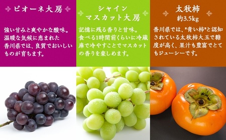 綾川町お勧めフルーツ定期便(年間12回) いちご びわ 桃 ピオーネ シャインマスカット デコポン 柿 キウイ 12