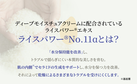ライスフォース ディープモイスチュアクリーム  スキンケア 保湿  化粧品 うるおい