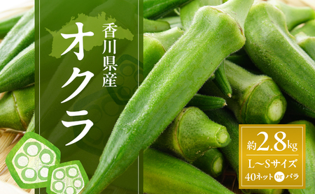 オクラ 約2.8kg (L~Sサイズ) 40ネットまたはバラ詰め 野菜