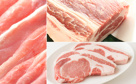 讃岐もち豚 ローススライス1kg・ブロック4kgセット お肉 豚肉 10,800円