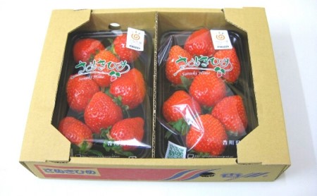 大粒さぬきひめいちご DX250g×4パック フルーツ 果物類 苺 イチゴ