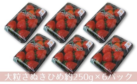 大粒さぬきひめいちご DX250g×6パック フルーツ 果物類 苺 イチゴ