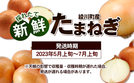新鮮採れたて綾川町産 たまねぎサイズ混合約5kg※2024年5月上旬から順次発送