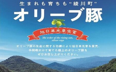 オリーブ豚　肩ロースブロック500g 受賞 ブランド 優秀賞 美味しい トンテキ 豚カツ 冷凍 