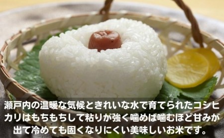 香川県綾川町産コシヒカリ・おいでまい食べ比べセット
