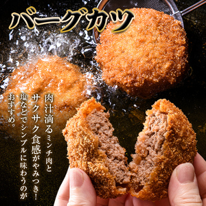 老舗西山の選べる惣菜セット2B 焼豚 300g バーグカツ50g×10個 ご当地 グルメ 食品 四国  F5J-498