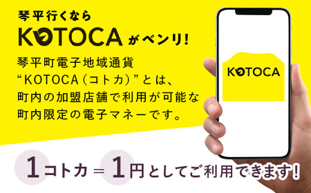 琴平町電子地域通貨KOTOCA 3000円 F5J-470