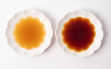 うま味しょうゆこいいろ1本・うすいろ2本セット F5J-488