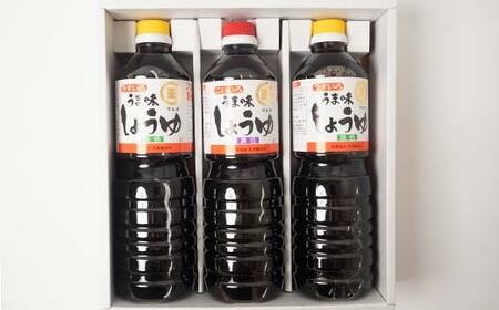 うま味しょうゆこいいろ1本・うすいろ2本セット F5J-488